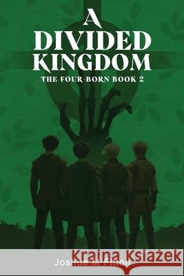 A Divided Kingdom Joshua M. Fitton 9781919348803