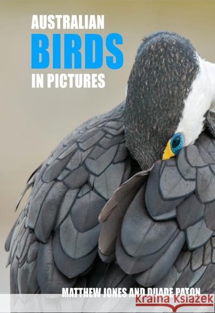 Australian Birds in Pictures: Compact edition Duade Paton 9781921073175 New Holland Publishers