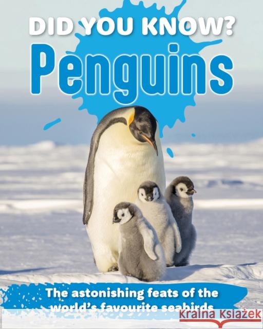 Did You Know? Penguins: The astonishing feats of the world's favourite seabirds  9781921073908 New Holland Publishers