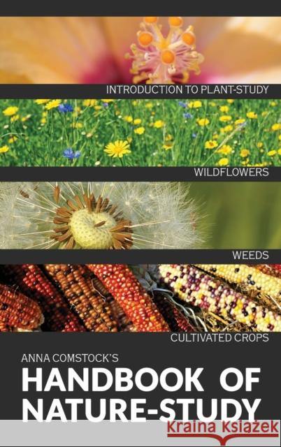 The Handbook Of Nature Study in Color - Wildflowers, Weeds & Cultivated Crops Anna B. Comstock 9781922348609 Living Book Press