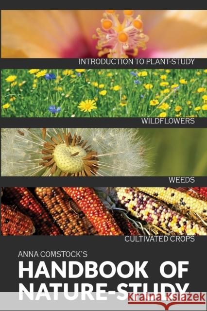 The Handbook Of Nature Study in Color - Wildflowers, Weeds & Cultivated Crops Anna B. Comstock 9781922348616 Living Book Press