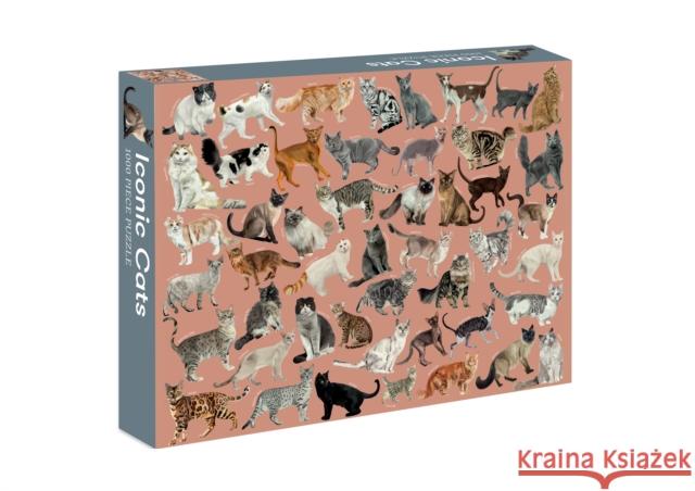 Iconic Cats: 1,000-Piece Jigsaw Puzzle Zafra, Marta 9781922417749