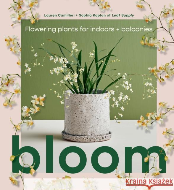 Bloom: Flowering plants for indoors and balconies Sophia Kaplan 9781922417855 Smith Street Books