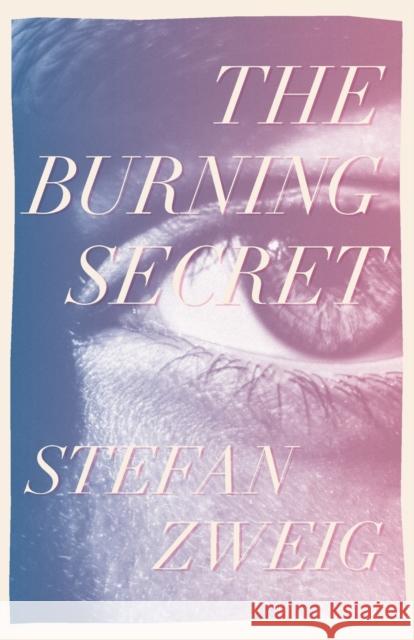 The Burning Secret Stefan Zweig 9781922491183