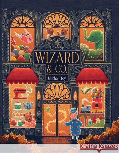 Wizard & Co Mitchell Toy 9781922514486 Five Mile Press