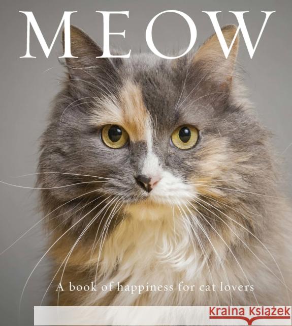 Meow: A Book of Happiness for Cat Lovers Anouska Jones 9781922539038 Exisle Pub