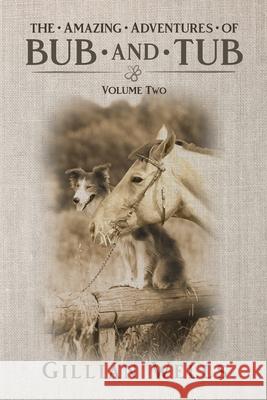 The Adventures of Bub & Tub: Volume Two Gillian Wells, Lacey Bellette 9781922594297