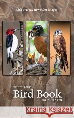 The Burgess Bird Book with new color images Thornton Burgess 9781922634306 Living Book Press