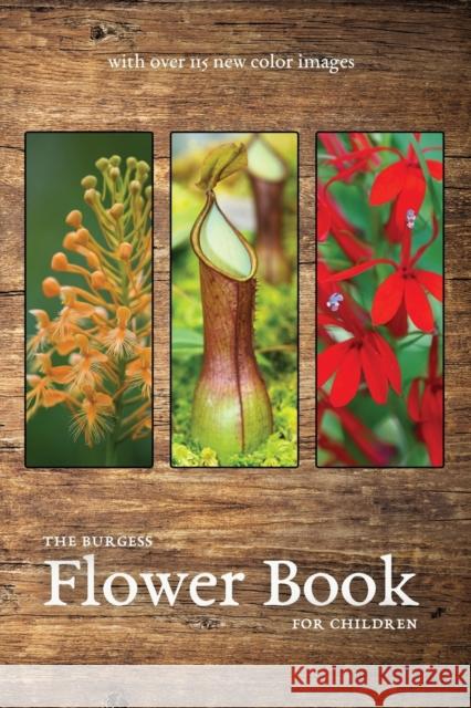 The Burgess Flower Book with new color images Thornton Burgess 9781922634344 Living Book Press