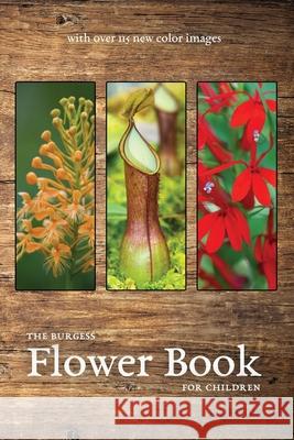 The Burgess Flower Book with new color images Thornton Burgess 9781922634344 Living Book Press