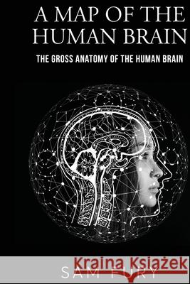 A Map of the Human Brain: The Gross Anatomy of the Human Brain Sam Fury 9781922649737 SF Nonfiction Books