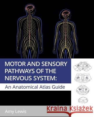 Motor and Sensory Pathways of the Nervous System Amy Lewis 9781922717528 Amy Lewis
