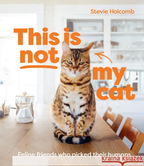 This is not my cat: Feline friends who picked their humans Stevie Holcomb 9781922754035 Smith Street Books