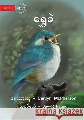Twiggy - ရွှေခဲ McPherson, Caitlyn 9781922793430