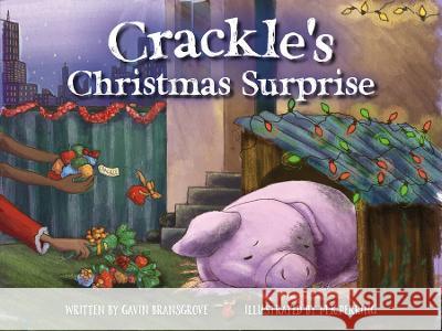 Crackle\'s Christmas Surprise Gavin Bransgrove M. K. Perring 9781922850881 Playtime Books