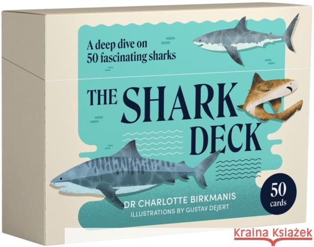 The Shark Deck Charlotte Birkmanis 9781923049208 Smith Street Books