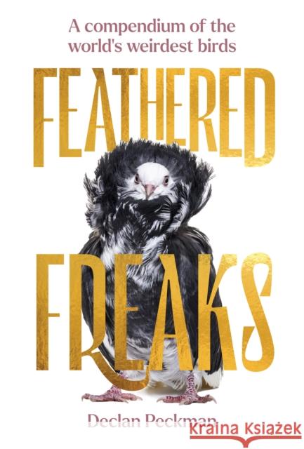 Feathered Freaks: A compendium of the world’s weirdest birds Declan Peckman 9781923049482 Smith Street Books