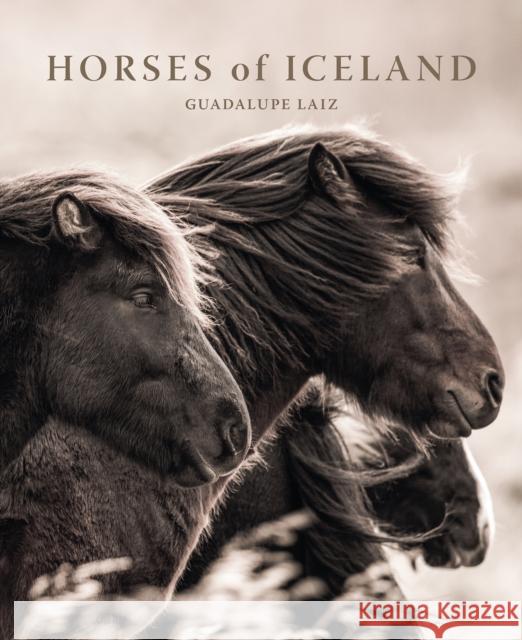 Horses of Iceland Laiz, Guadalupe 9781923094000 Images Publishing Group Pty Ltd