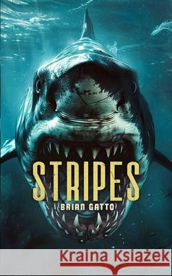 Stripes: A Deep-Sea Thriller Brian Gatto 9781923165175