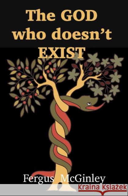 The God who doesn’t exist: God in an evolutionary world Fergus McGinley 9781923206946