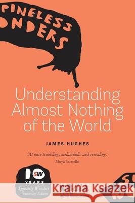 Understanding Almost Nothing Of The World James Hughes 9781925052787 Spineless Wonders