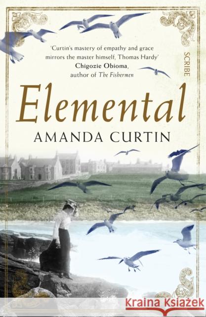 Elemental Amanda Curtin 9781925228335