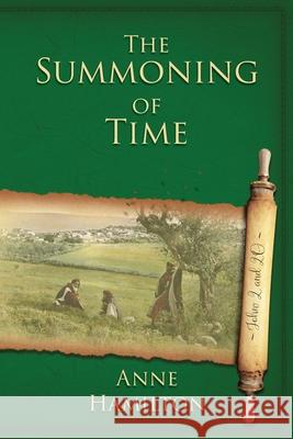 The Summoning of Time: John 20 and 20: Mystery, Majesty and Mathematics in John's Gospel #2 Anne Hamilton 9781925380750