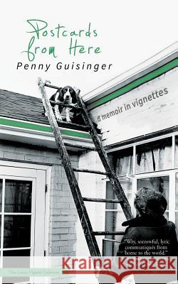 Postcards from Here Penny Guisinger 9781925417050 Vine Leaves Press