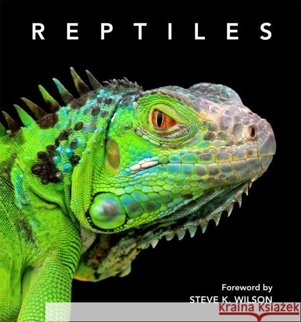 Reptiles: Deluxe Series Steve Wilson 9781925546675 New Holland Publishers