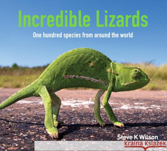 Incredible Lizards: One hundred species from around the world Steve K. Wilson 9781925546989 New Holland Publishers