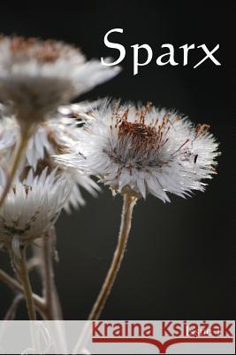 Sparx: Issue 1 Van Hecke, Blaise 9781925585605