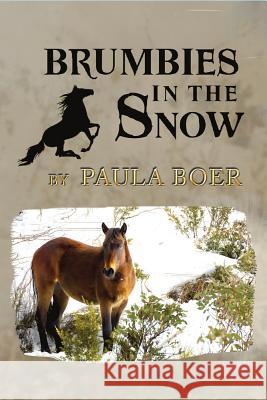 Brumbies in the Snow Paula Boer 9781925759310 Ifwg Publishing International