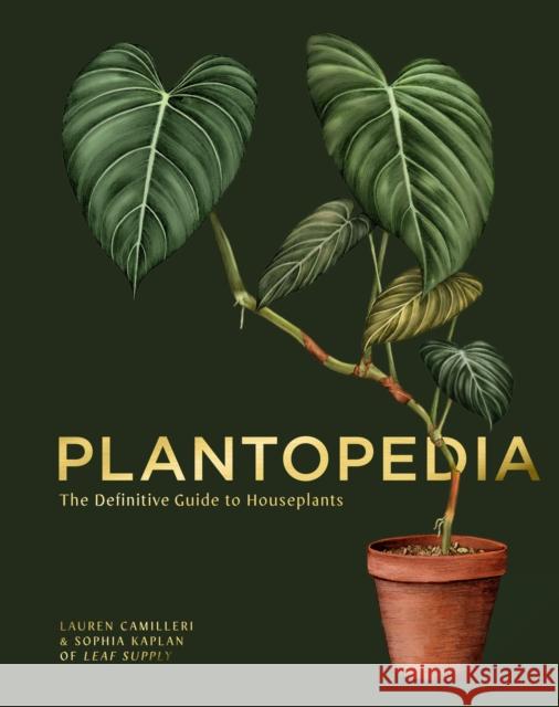 Plantopedia: The Definitive Guide to House Plants Sophia Kaplan 9781925811773 Smith Street Books