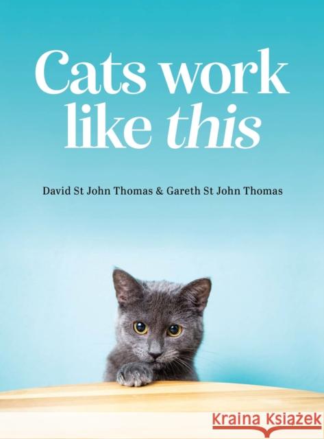 Cats Work Like This Gareth St John Thomas 9781925820751