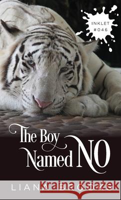 The Boy Named No Liana Brooks 9781925825459 Inkprint Press