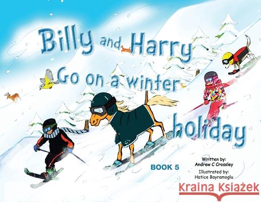 Billy and Harry Go on a Winter Holiday Andrew Crossley 9781925949438 Busybird Publishing