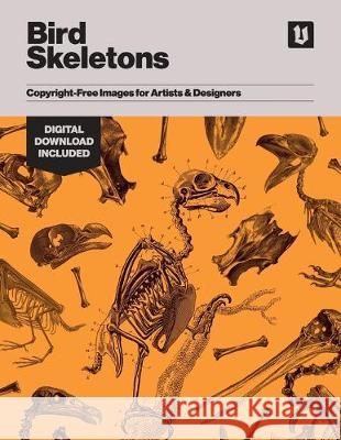 Bird Skeletons: Copyright-Free Images for Artists & Designers Kale James   9781925968064 Avenue House Press Pty Ltd