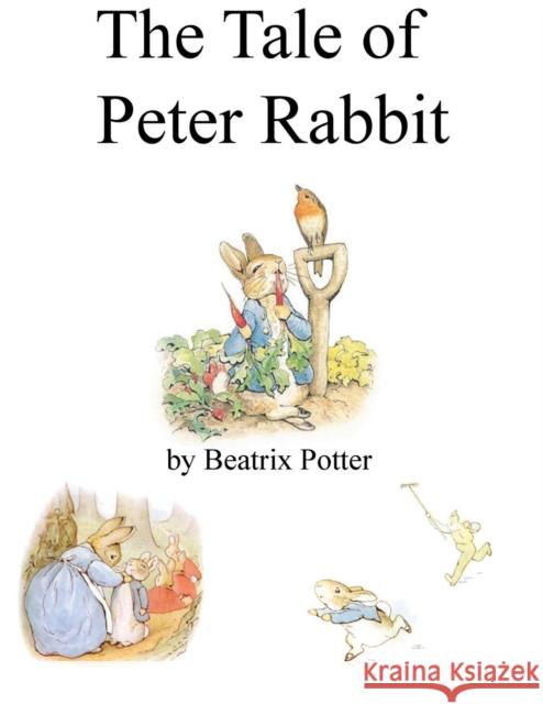 The Tale of Peter Rabbit Beatrix Potter 9781927558355