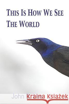 This is How We See the World John B Lee 9781927725504 Hidden Brook Press