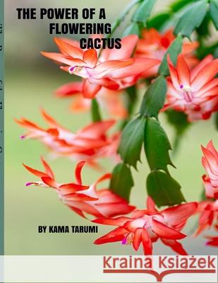 The Power of a Flowering Cactus Kama Tarumi 9781927848524 Filidh Publishing Corp