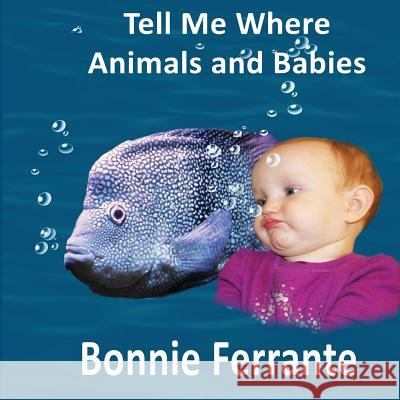 Tell Me Where: Animals and Babies Bonnie Ferrante Bonnie Ferrante 9781928064237 Single Drop Publishing
