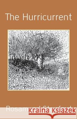 The Hurricurrent Rosamund Stanford 9781928476542 Deep South