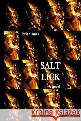Salt Lick Brian Ames 9781929763290 Pocol Press