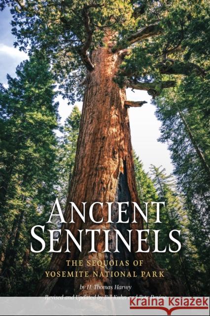 Ancient Sentinels: The Sequoias of Yosemite National Park  9781930238640 Yosemite Conservancy