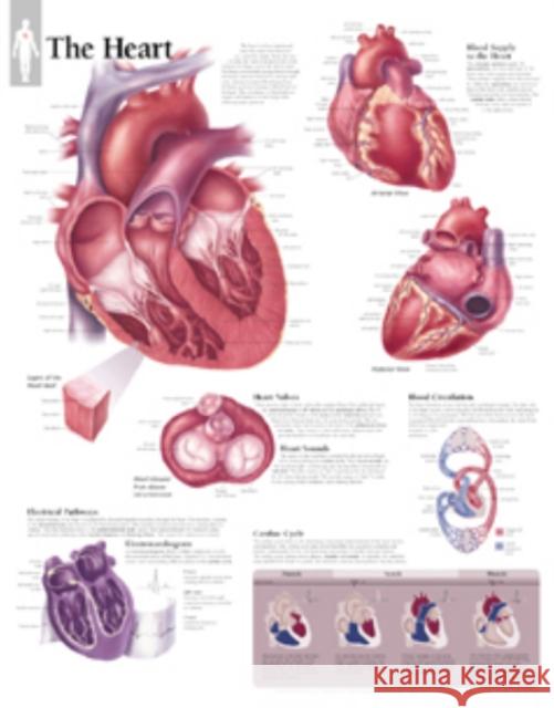 Heart Paper Poster Scientific Publishing 9781930633087 Scientific Publishing Limited