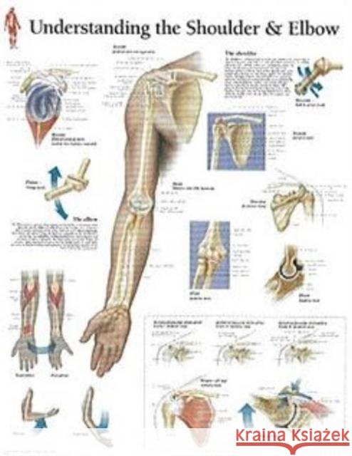 Understanding the Shoulder & Elbow Paper Poster Scientific Publishing 9781930633704 Scientific Publishing Limited