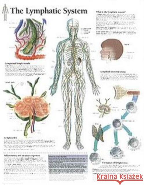 Lymphatic System Laminated Poster Scientific Publishing 9781930633919 Scientific Publishing Limited