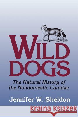 Wild Dogs: The Natural History of the Nondomestic Canidae Sheldon, Jennifer W. 9781930665842 Blackburn Press