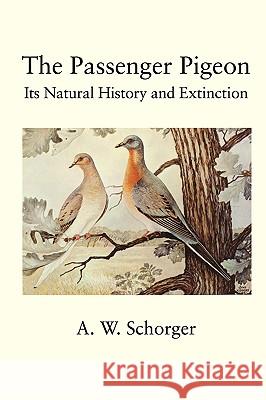 The Passenger Pigeon A. W. Schorger 9781930665965 Blackburn Press