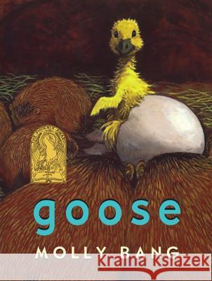 Goose Molly Bang 9781930900950 Purple House Press